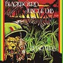 Blackboard Jungle Dub - Lee Perry  
