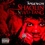 Shaolin vs Wu-Tang - Raekwon