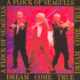 Dream Come True/Expanded - A Flock Of Seagulls