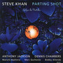 Parting Shot - Steve Khan