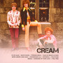 Icon   [Best Of] - Cream