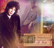 An Appointment With MR. Yeats - The Waterboys