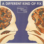 A Different Kind Of Fix - Bombay Bicycle Club