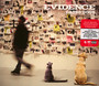 Cats & Dogs - Evidence