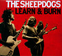 Learn & Burn - Sheepdogs