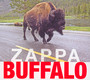 Buffalo - Frank Zappa