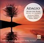 Adagio: Musik Der Ruhe - V/A