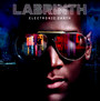 Electronic Earth - Labrinth