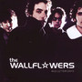 Red Letter Day - The Wallflowers