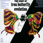 Best Of Iron Butterfly Evolution - Iron Butterfly