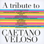 A Tribute To Caetano Veloso - Tribute to Caetano Veloso