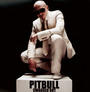 Swagged Out - Pitbull