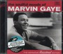 Soulful Moods Of Marvin G - Marvin Gaye