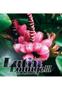vol. 3-Abstract Latin Lounge - Abstract Latin Lounge