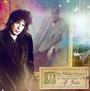 Appointment With MR. Yeats - The Waterboys