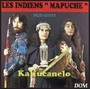 Les Indiens Mapuche Du Sud Chili - Kalfucanelo