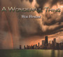 Wonderful Thing - Rob Ryndak