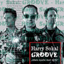 Groove, Where Sparks Star - Harry Sokal