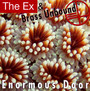 Enormous Door - ex & Brass Unbound