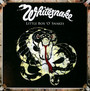 Little Box 'o' Snakes  - The Sunburst Years 1978 - 1982 - Whitesnake