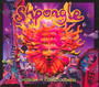 Museums Of Conscious - Shpongle
