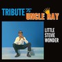 Tribute To Uncle Ray - Stevie Wonder