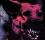 Under Color Of Critical Right - Protomartyr