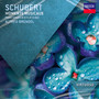 Schubert: Moments Musicaux,Kla... - Alfred Brendel