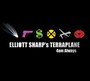 4am Always - Elliott  Sharp  /  Terraplane