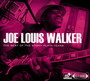 Best Of The Stony Plain Plain Years - Joe Louis Walker 