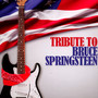 Bruce Springsteen-Tribute - V/A