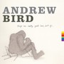 Things Ware Really Great Here Sort Of - Andrew Bird