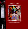Dance Of The Goodbyes - Amoeba Split