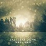 Fake Lights - Last Leaf Down