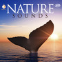 Nature Sounds - V/A
