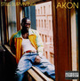 Still Surviving - Akon
