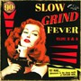 Slow Grind Fever V.3&4 - V/A