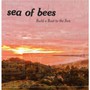 Build A Boat To The Sun - Sea Of Bees