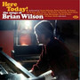 Here Today! The Songs Of Brian Wilson - V/A