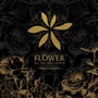Flower - Xia