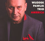 America - Wodek Pawlik