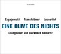 Eine Olive Des Nichts - Burkhard Reinartz