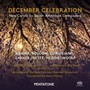 December Celebration - V/A