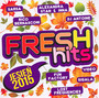 Fresh Hits Jesie 2015 - Fresh Hits   