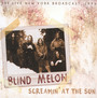 Screamin' At The Sun - Blind Melon