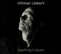 Waiting N Swan - Ottmar Liebert