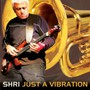 Just A Vibration - Shri