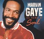 The Prince Of Soul - Gaye Marvin