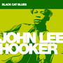 Black Cat Blues - John Lee Hooker 