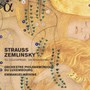 Till Eulenspiegel/Die See - Strauss & Zemlinsky